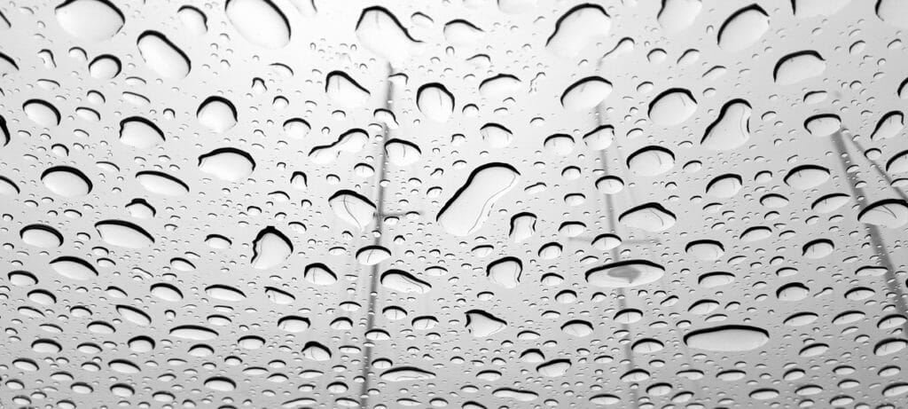 I always enjoy looking up from the bed in my cabin after it rains.